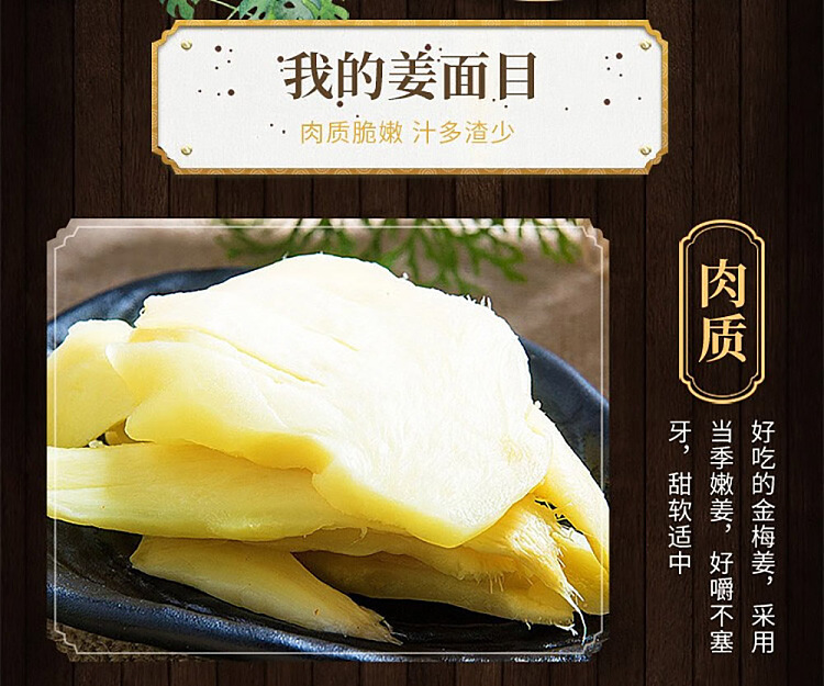 shiojirushi-ice-vinegar-ginger-230g-9