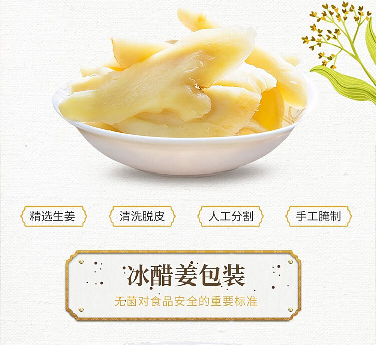 shioji-ice-and-vinegar-ginger-105g-6