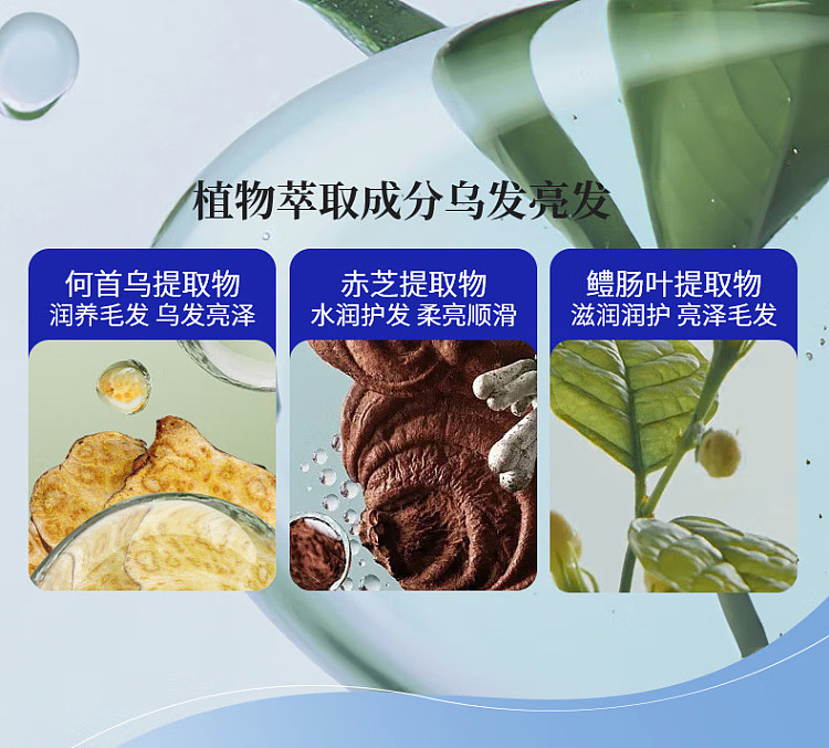 ehd-anti-hair-loss-and-hair-strengthening-shampoo-500ml-13