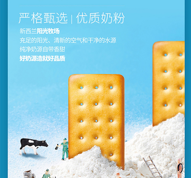 jiayou-coconut-flavored-cookies-468g-3
