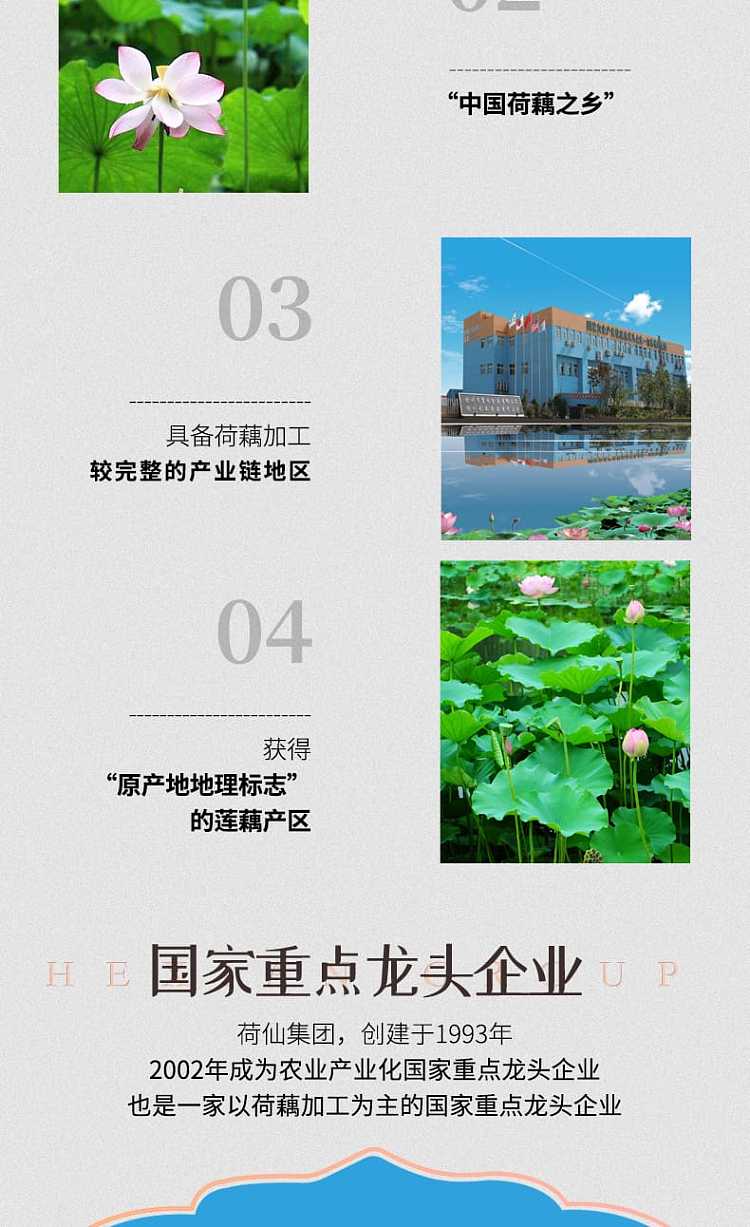 lotus-root-400g-8