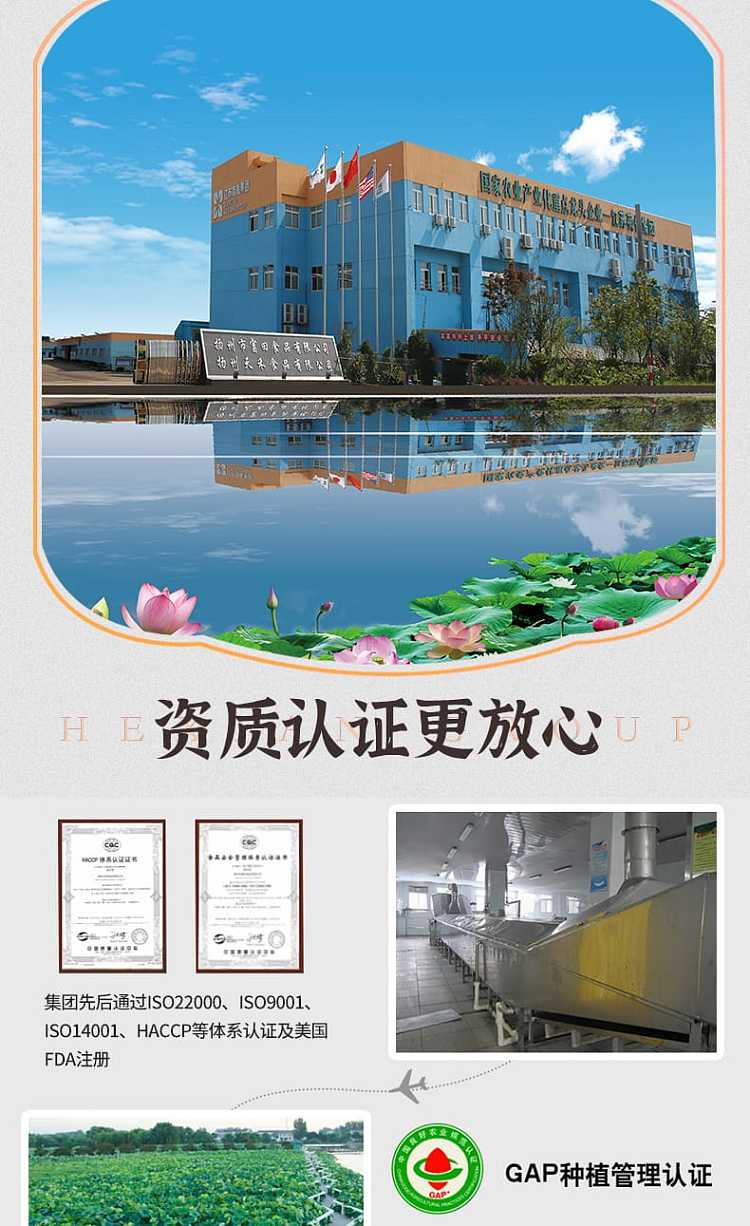 lotus-root-400g-9