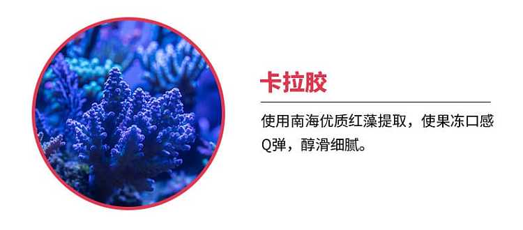 xizhang-peach-pulp-jelly-200g2pcs-400g-3