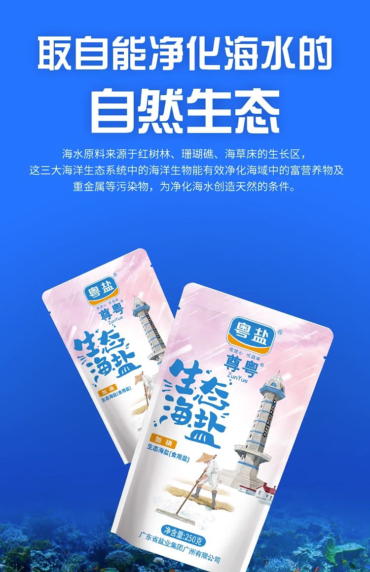 guangdong-salt-iodized-eco-sea-salt-table-salt-250g-4