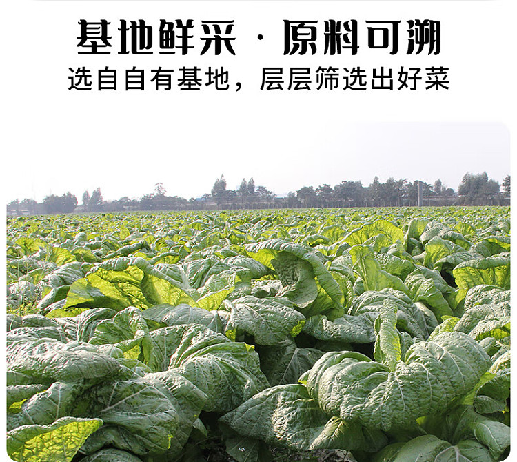 jixiangju-open-flavor-pickled-fish-seasoning-320g-16