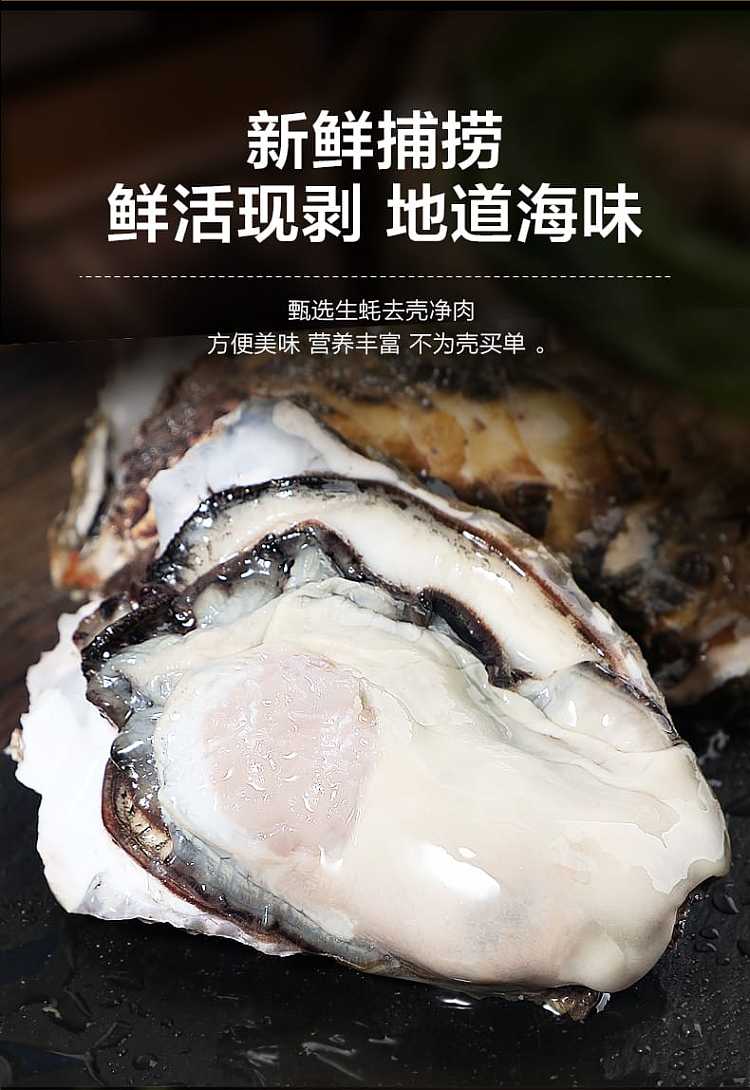 frozen-delicious-life-fat-oyster-babies-454g-3