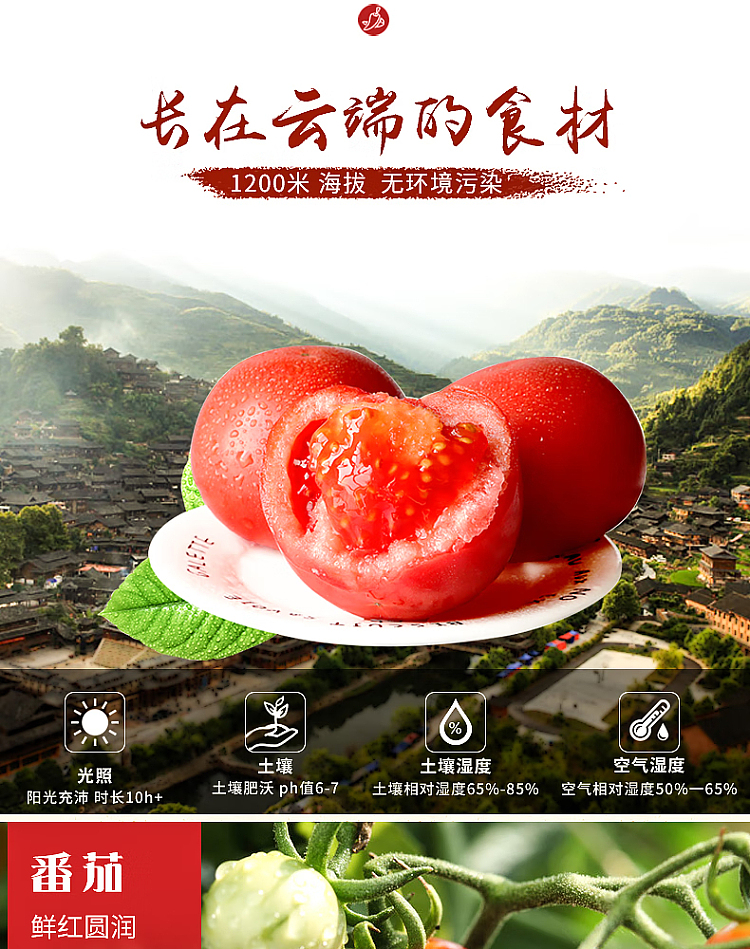 yumeng-guizhou-old-special-red-sour-soup-500g-5