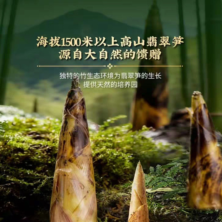 australia-exclusive-sams-club-exclusive-cold-brewed-flavor-with-porcini-mushrooms-bamboo-shoots-and-sichuan-pepper-620g-4