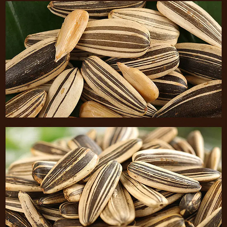 huiji-green-tea-melon-seeds-265g-3