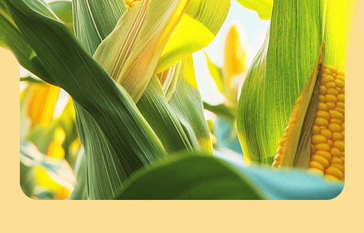 taikang-edible-corn-starch-200g-4
