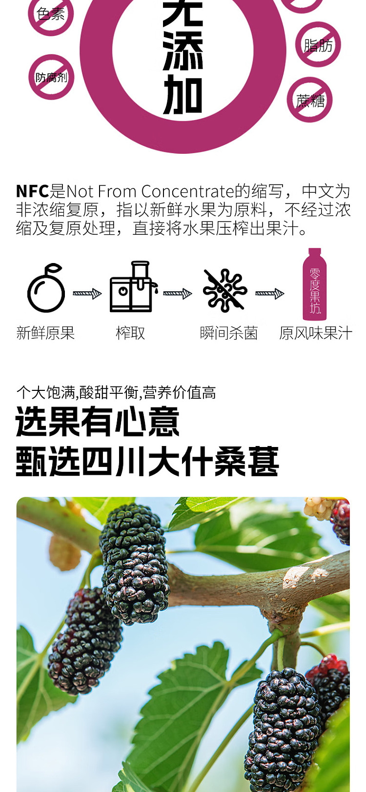 all-australia-exclusive-costco-china-zero-fruit-place-nfc-mulberry-juice-1l6-bottles-2