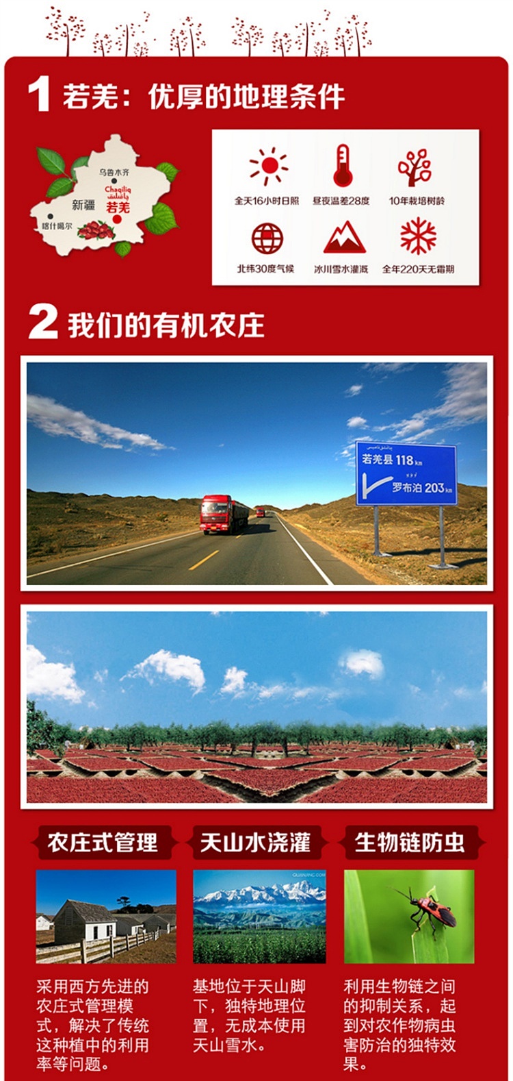yanhuang-hometown-of-xinjiang-hotan-jade-jujube-500g-4