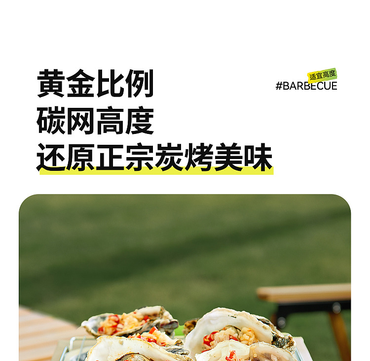 primitive-disposable-bbq-grill-plus-extended-range-version-grills-for-3-4-hours-23
