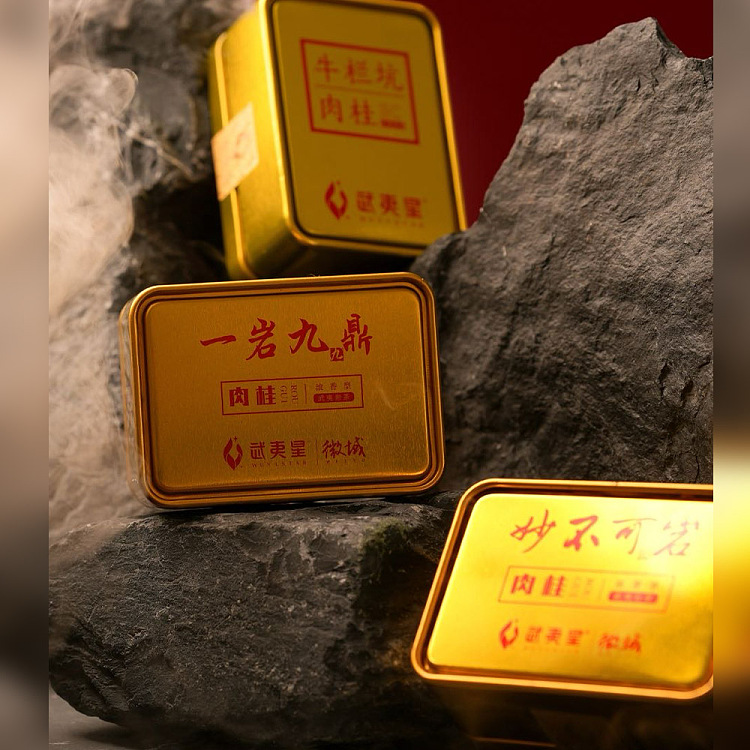 tea-sharing-one-rock-jiu-ding-pure-nine-dragons-cinnamon-10g2-1