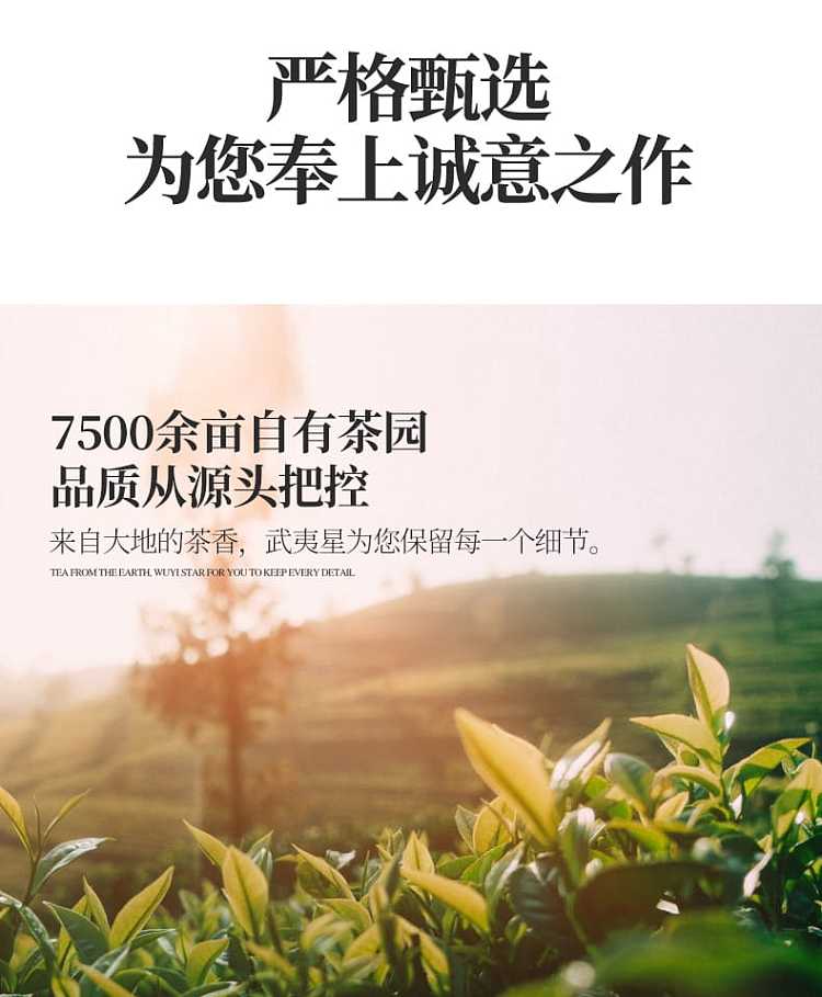 gift-box-tea-sharing-wuyi-star-five-flavor-dahongpao-souvenir-9g5-bags-45g-9