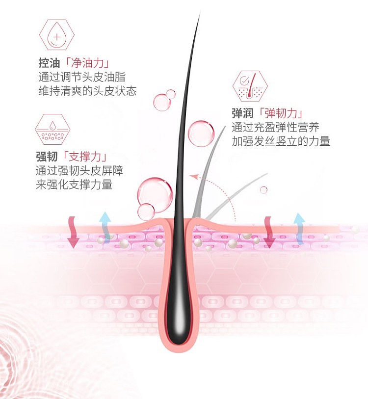 lv-powder-lv-plant-xin-fresh-ferment-light-volume-shampoo-400ml-5