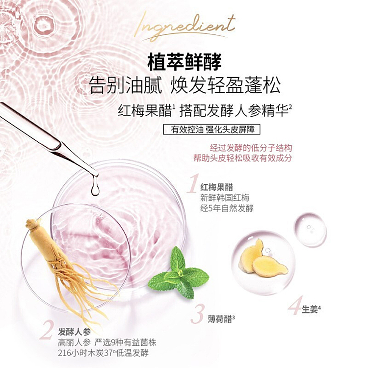 lv-powder-lv-plant-xin-fresh-ferment-light-volume-shampoo-400ml-3