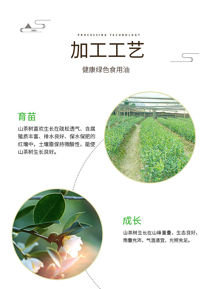 run-xin-organic-camellia-oil-2l-8