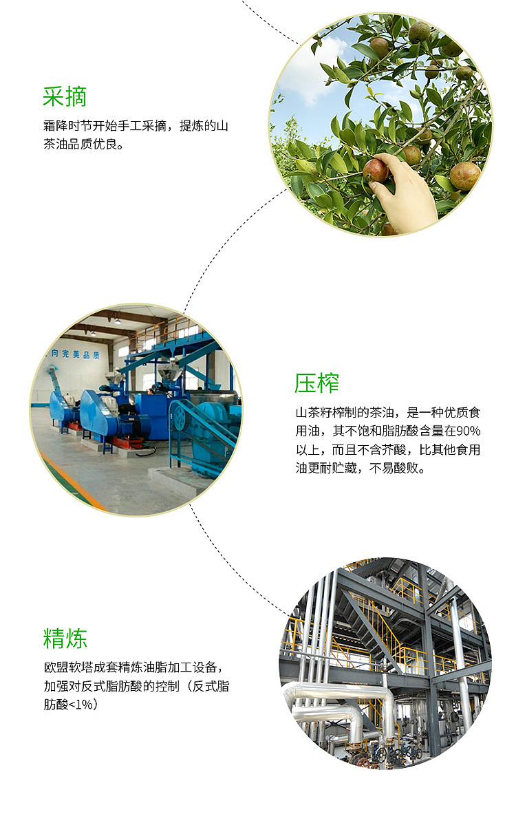run-xin-organic-camellia-oil-2l-9