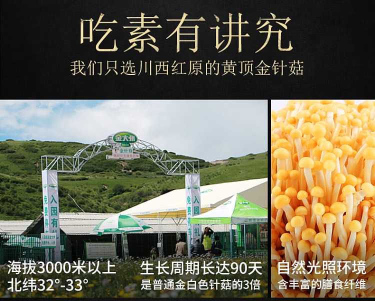 golden-dazhou-enoki-mushroom-spicy-flavor-50g-4