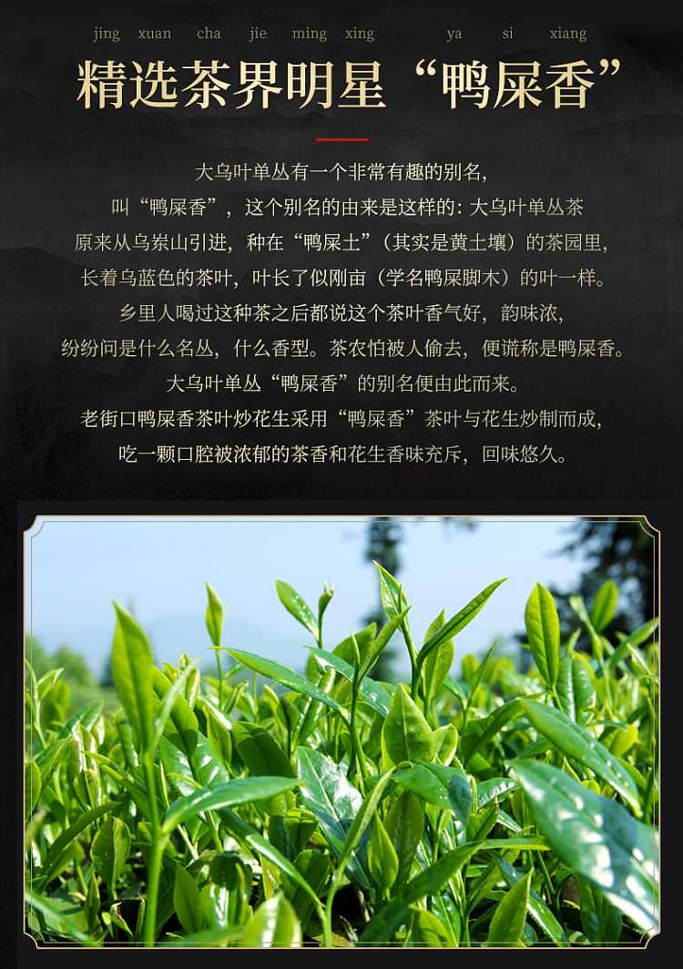 laojiekou-duck-shit-fragrant-tea-fried-peanuts-500g-2