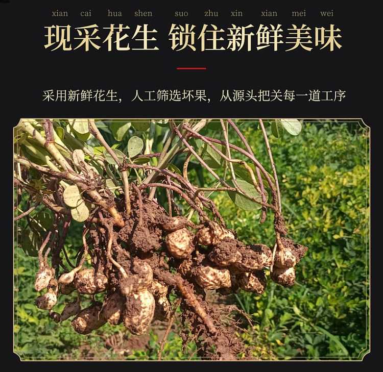 laojiekou-duck-shit-fragrant-tea-fried-peanuts-500g-3