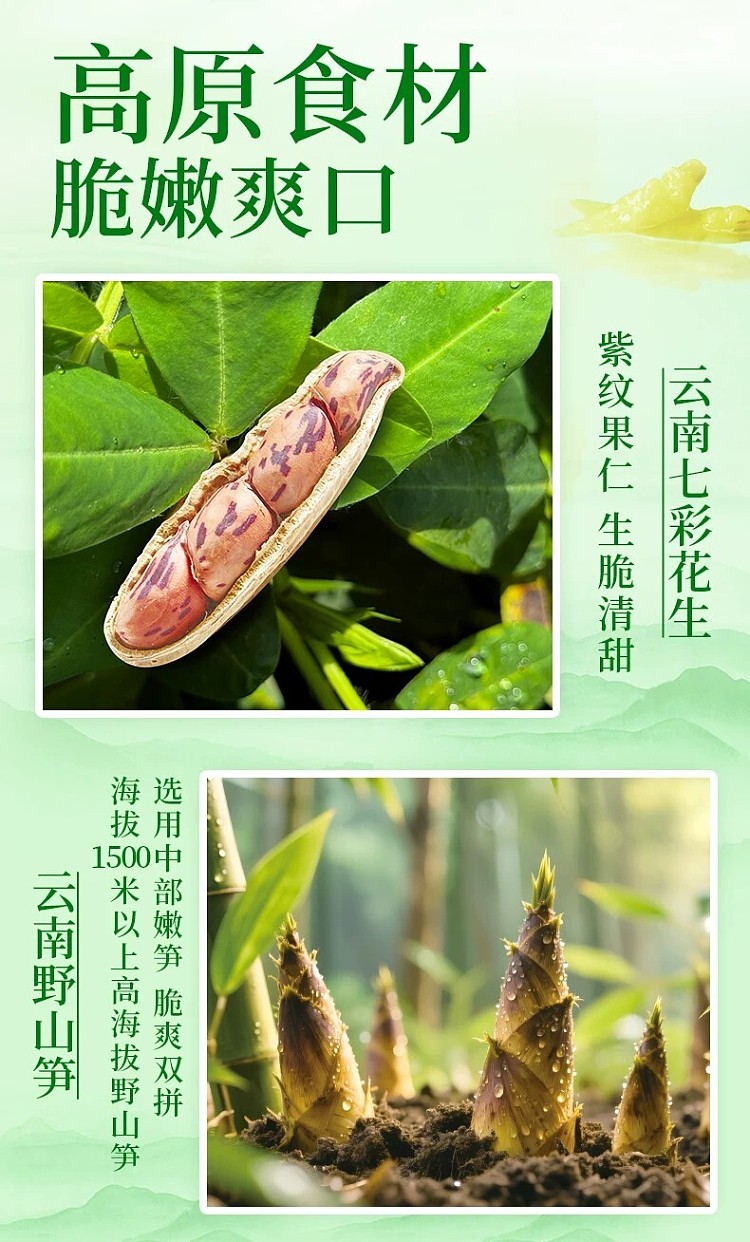 liangpinpuzi-crispy-bamboo-shoots-with-rainbow-peanuts-and-pickled-chili-120g-2