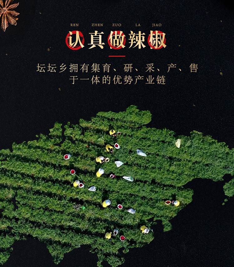 tan-tan-xiang-refined-chao-tian-pepper-280g-10
