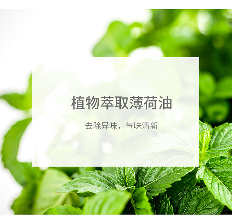 fasola-tea-seed-mint-dishwashing-liquid-light-blue-pump-head-500g-3