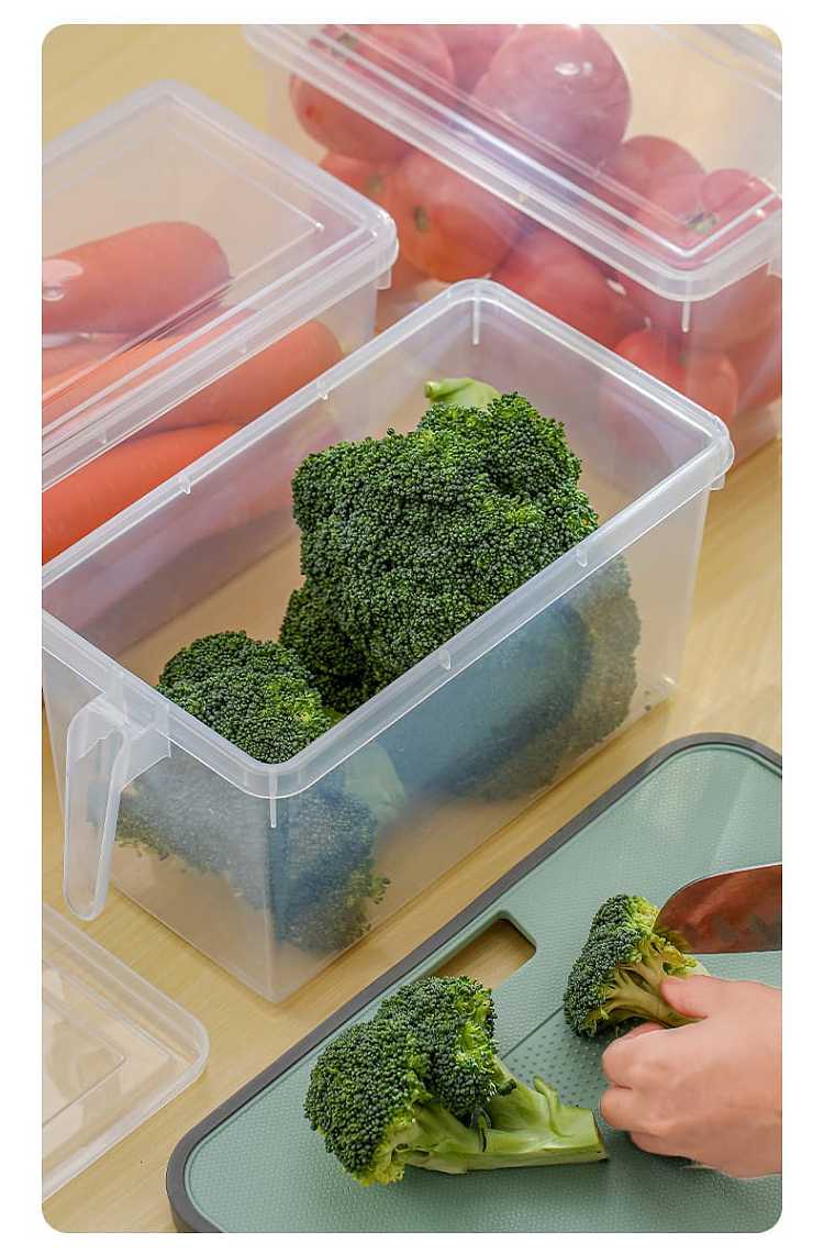 fasola-refrigerator-with-lid-handheld-crisper-transparent-47l-10