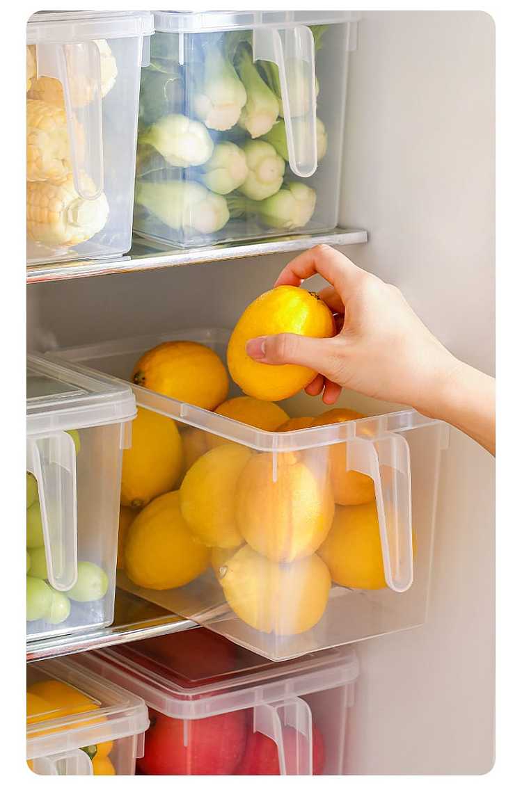 fasola-refrigerator-with-lid-handheld-crisper-transparent-47l-12