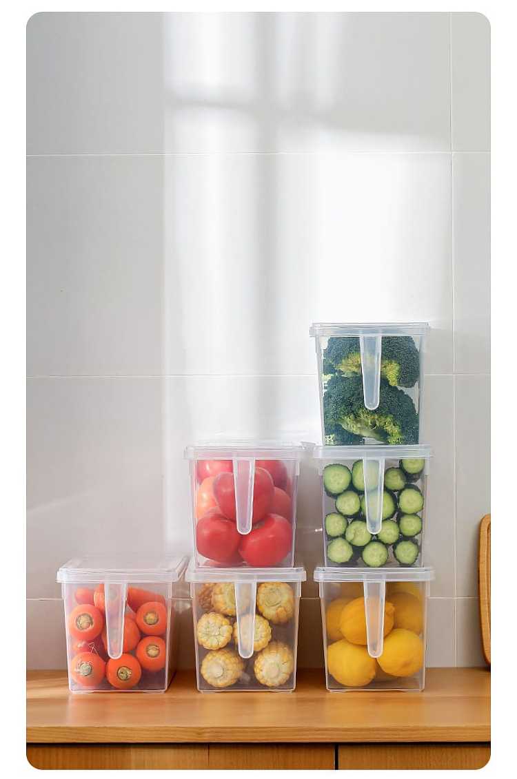 fasola-refrigerator-with-lid-handheld-crisper-transparent-47l-13