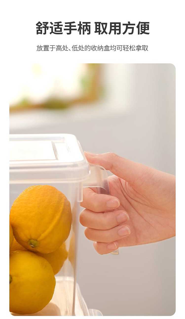 fasola-refrigerator-with-lid-handheld-crisper-transparent-47l-5