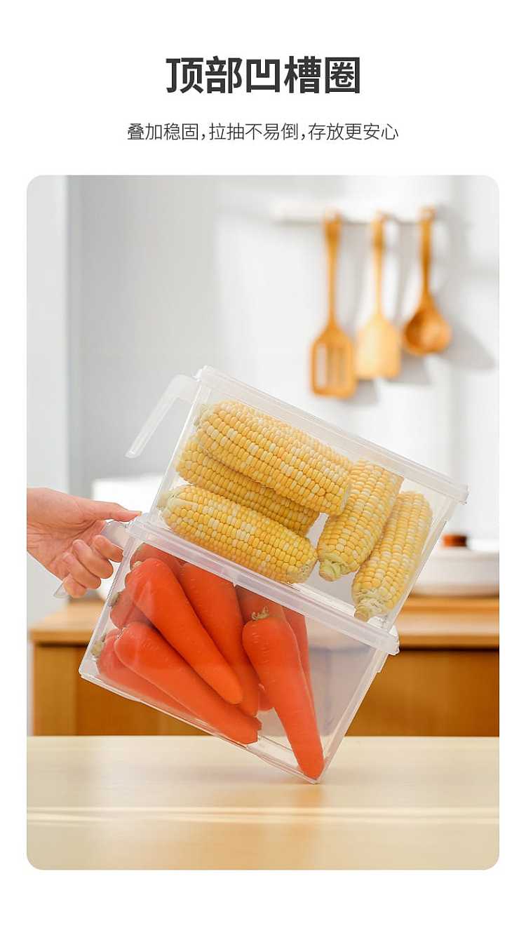 fasola-refrigerator-with-lid-handheld-crisper-transparent-47l-6