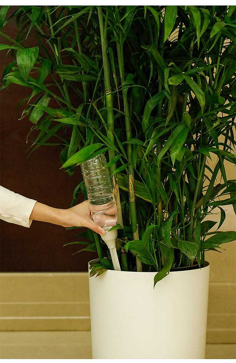 fasola-automatic-waterer-1755cm-12