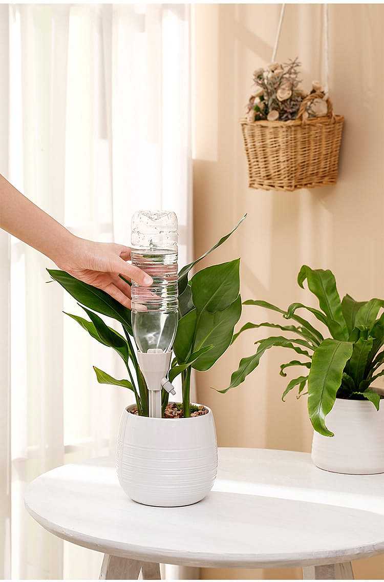 fasola-automatic-waterer-1755cm-14