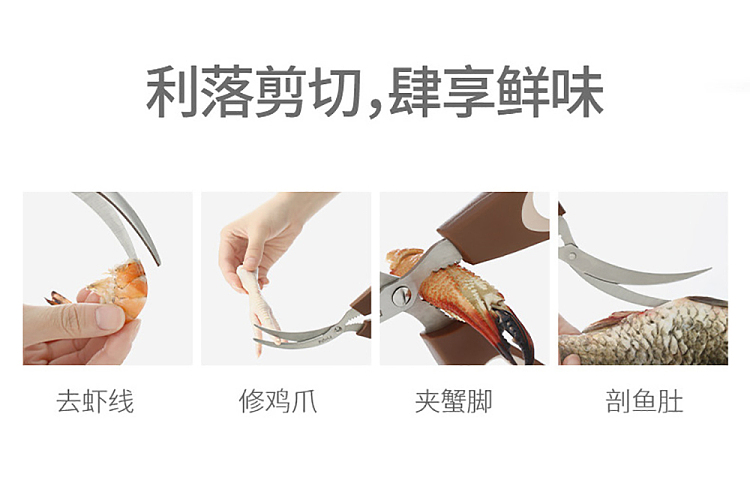 fasola-seafood-cuts-brown-2