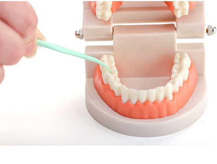 fasola-disposable-polymer-flossing-sticks-50s-8