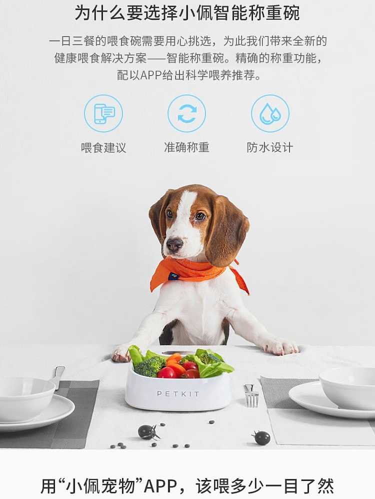 petkit-small-pei-intelligent-weighing-bowl-dog-and-cat-food-bowl-colorful-pompoms-2