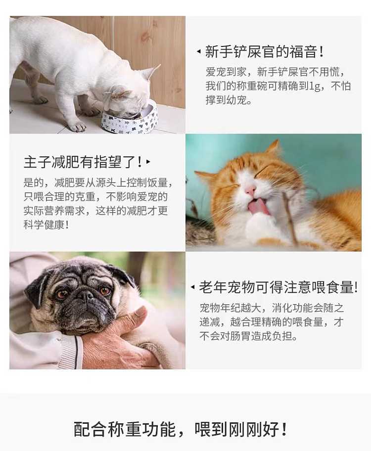 petkit-small-pei-intelligent-weighing-dog-and-cat-food-bowl-antibacterial-bowl-european-porcelain-white-6
