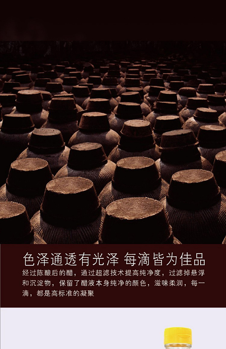 baoding-tianyu-zhenjiang-vinegar-550ml-2