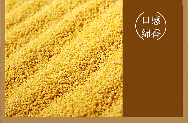 fenzhou-fragrant-millet-500g-5