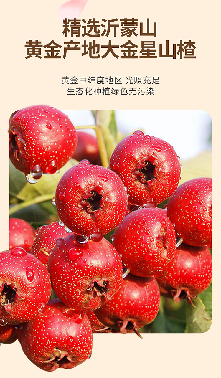 commune-union-original-hawthorn-cake-85g-3