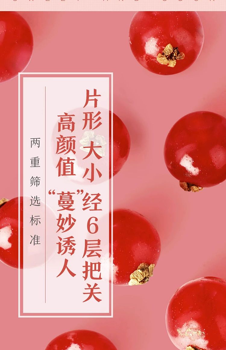 liangpinpuzi-dried-cranberries-100g-7