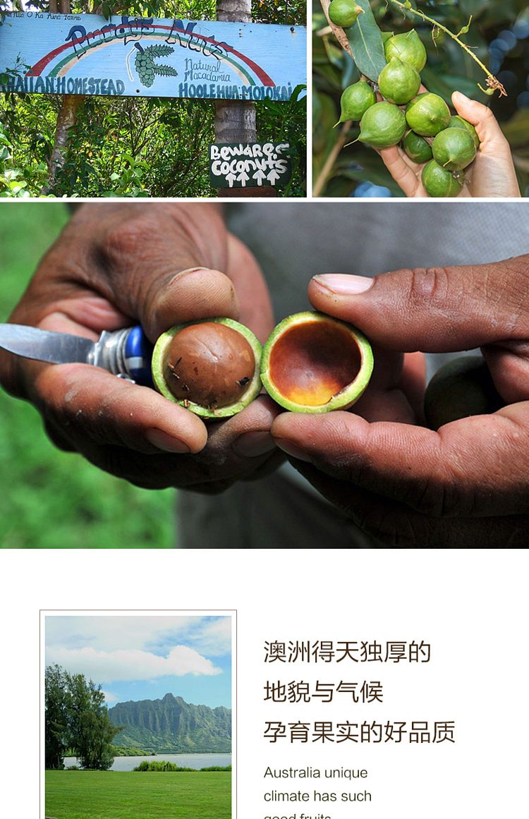 liangpinpuzi-macadamia-nut-creamy-120g-5
