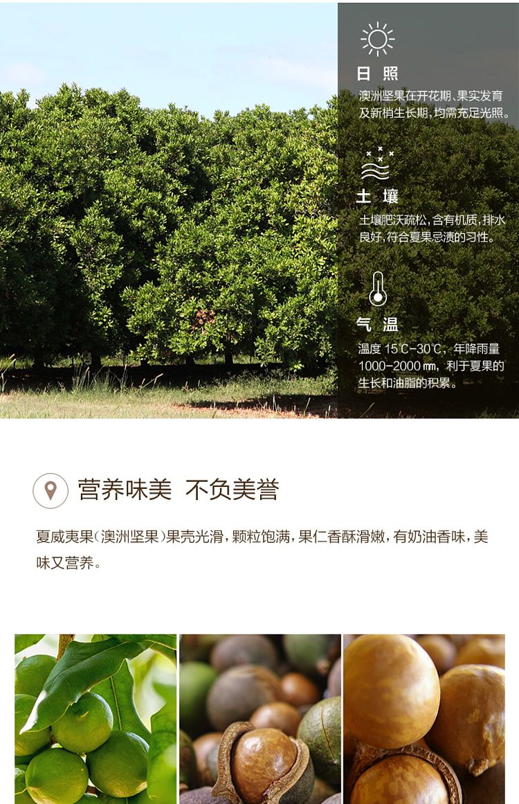 liangpinpuzi-macadamia-nut-creamy-120g-7