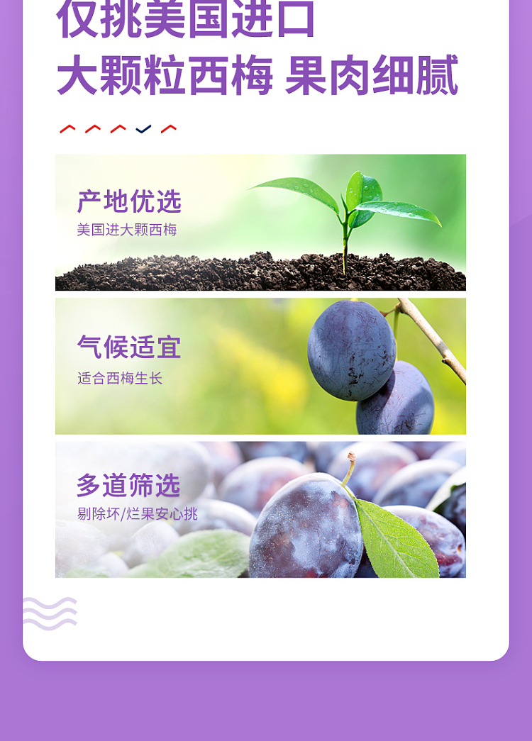 liangpinpuzi-american-prune-108g-4