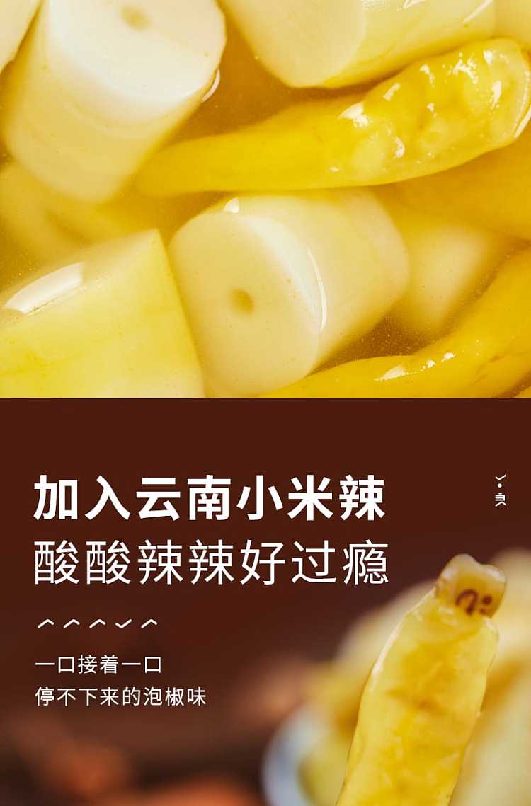 liangpinpuzi-crispy-bamboo-shoot-festival-120g-4