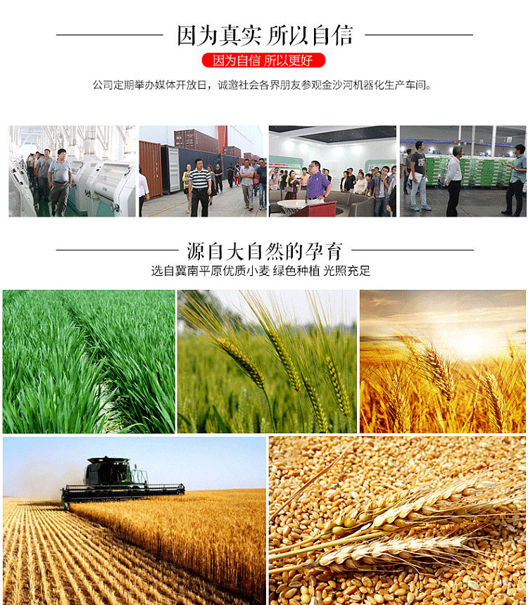 jinsha-river-dumpling-wheat-flour-1kg-3