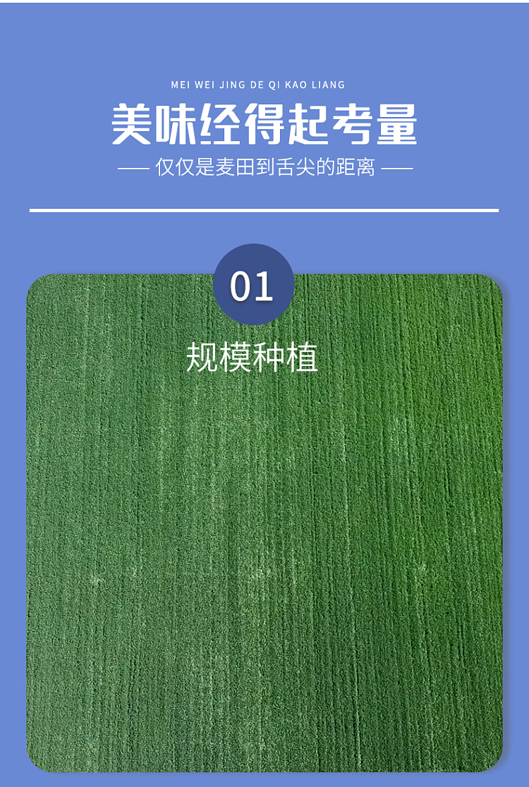 jinshahe-songhe-noble-wheat-flour-1kg-3